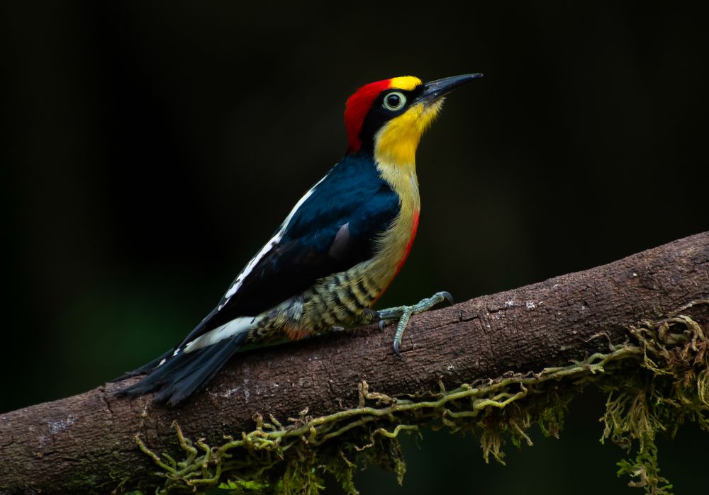 Photograph by Edilene Guerra