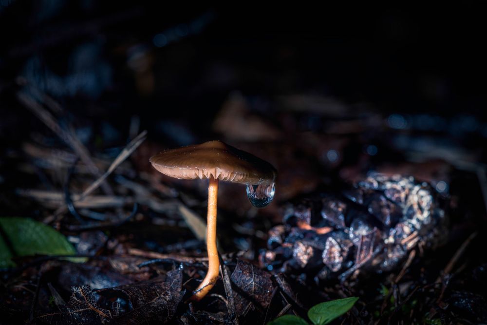 Photograph by Антон Бойков