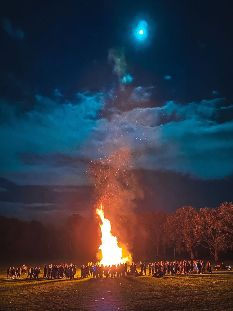 Photograph by Victoria Taperova