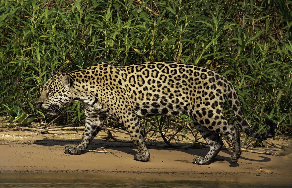 Photograph by Edilene Guerra