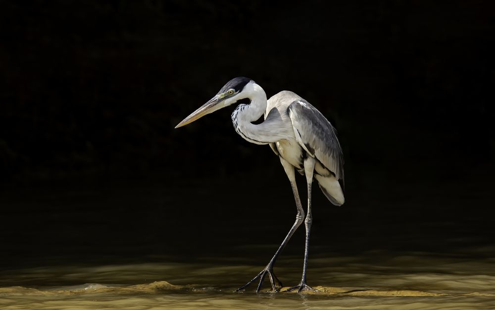 Photograph by Edilene Guerra