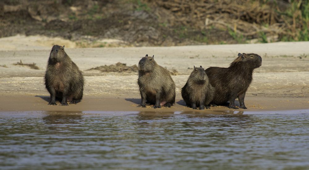 Photograph by Edilene Guerra