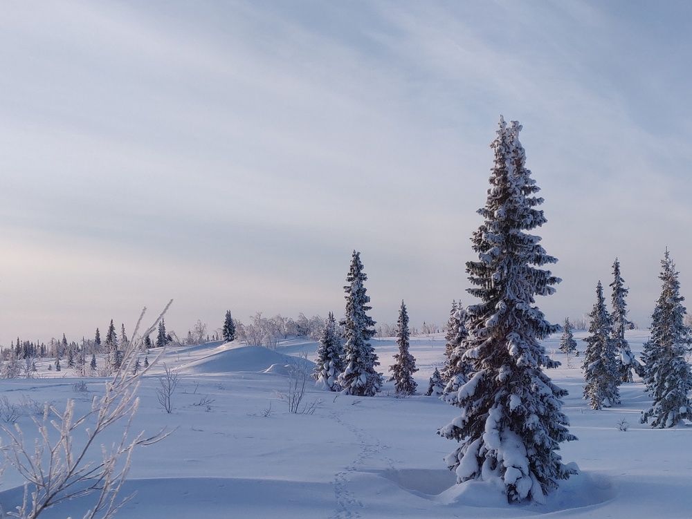 Photograph by Светлана Гусейнова