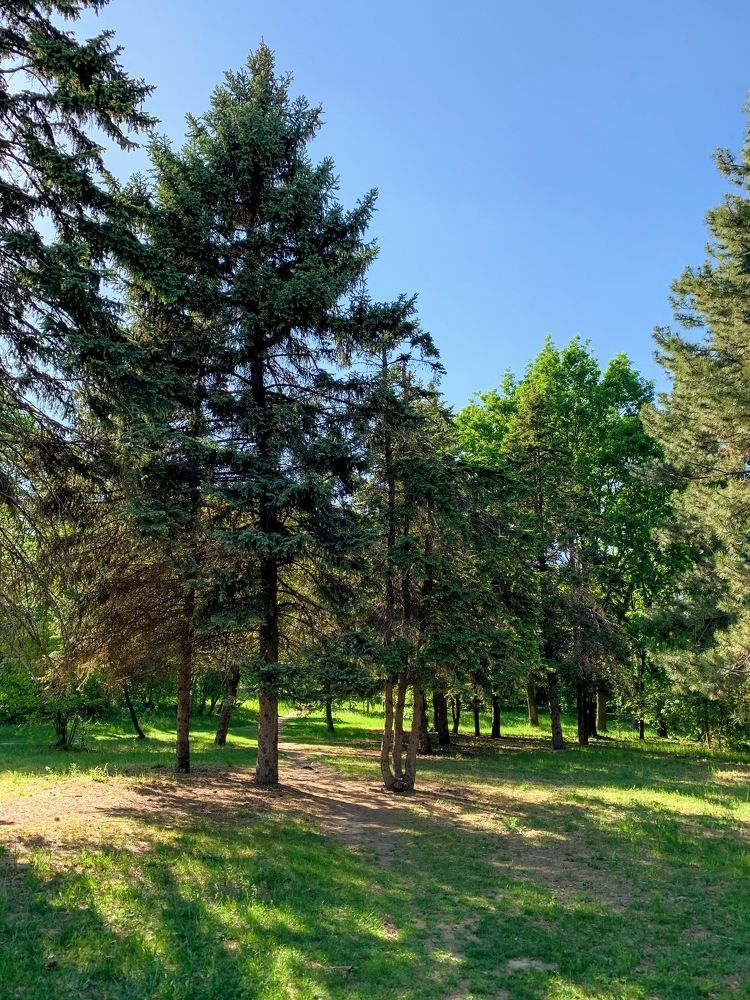 Photograph by Marina Ivanov