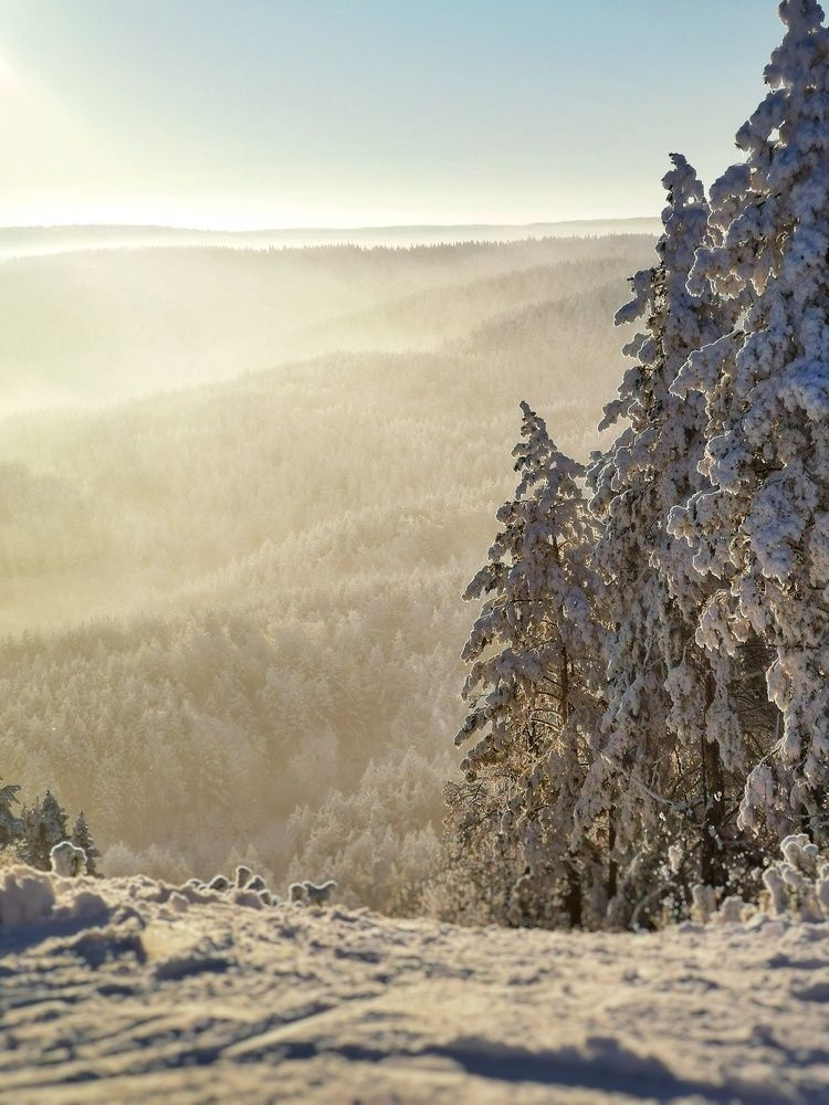 Photograph by Анатоль Кожанов