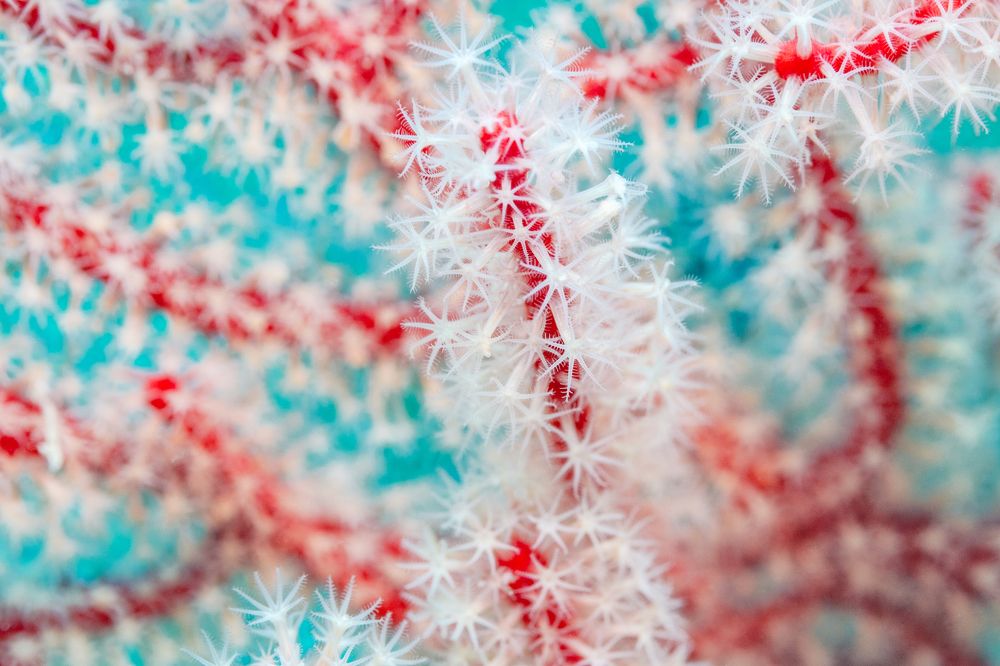 Photograph by Тетяна Тарасенко