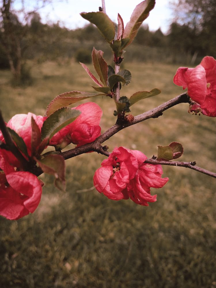 Photograph by Дарья Акулич