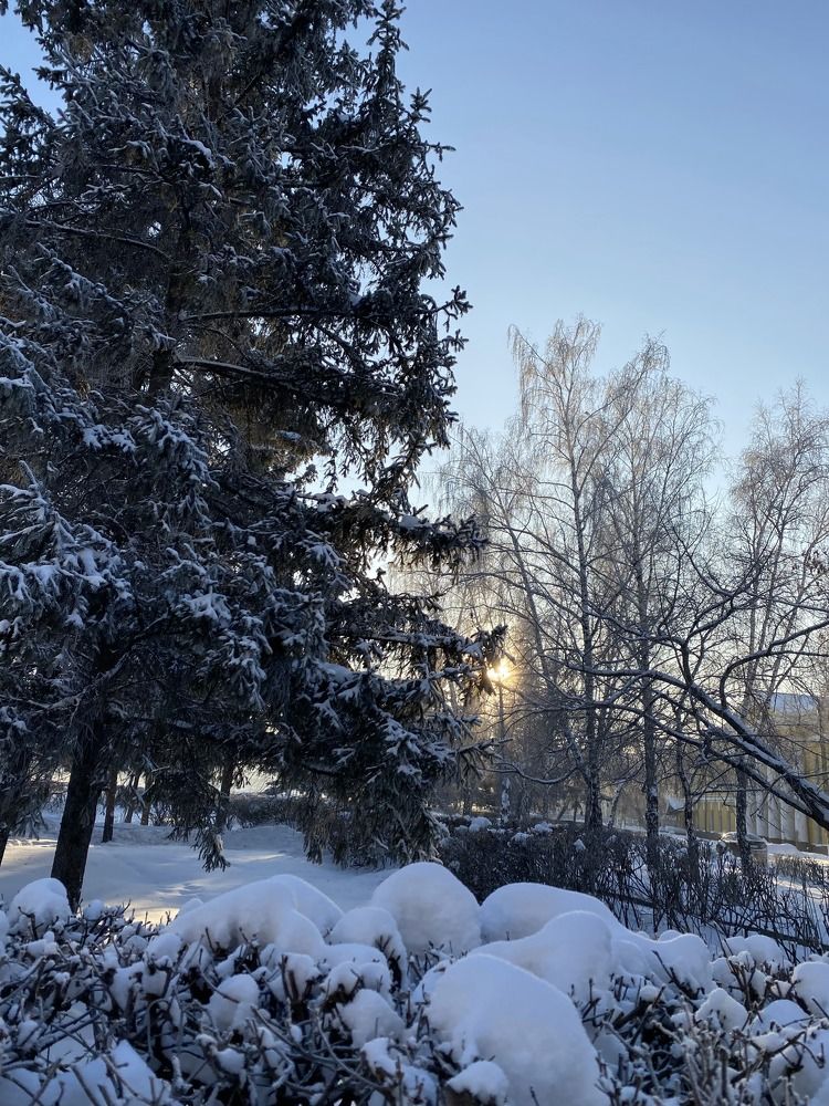 Зимний день