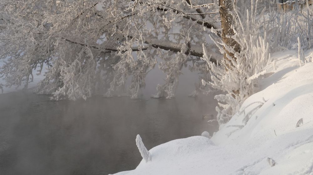 Photograph by Ольга Челдыкова