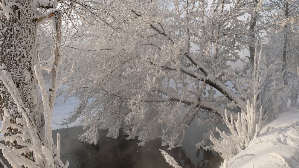 Photograph by Ольга Челдыкова