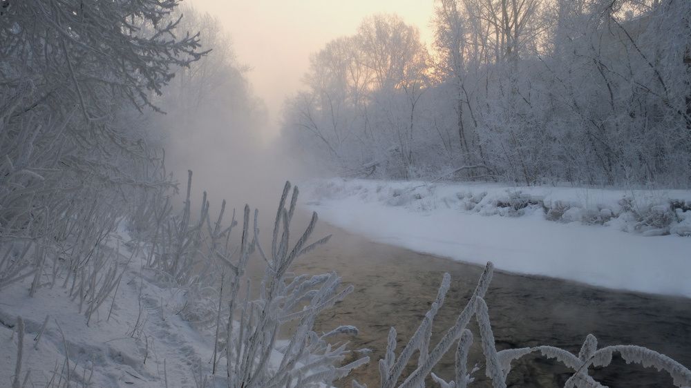 Photograph by Ольга Челдыкова