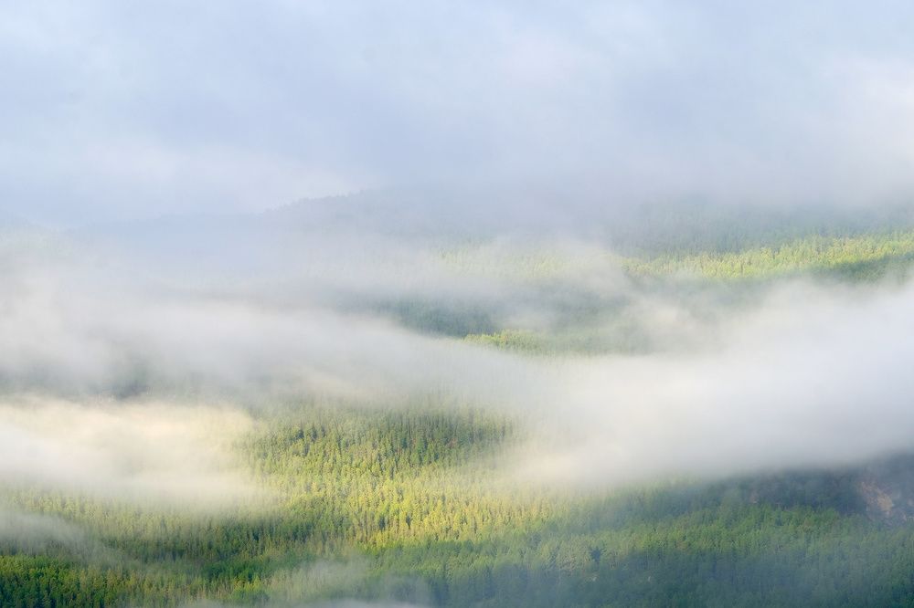 Photograph by Ольга Челдыкова