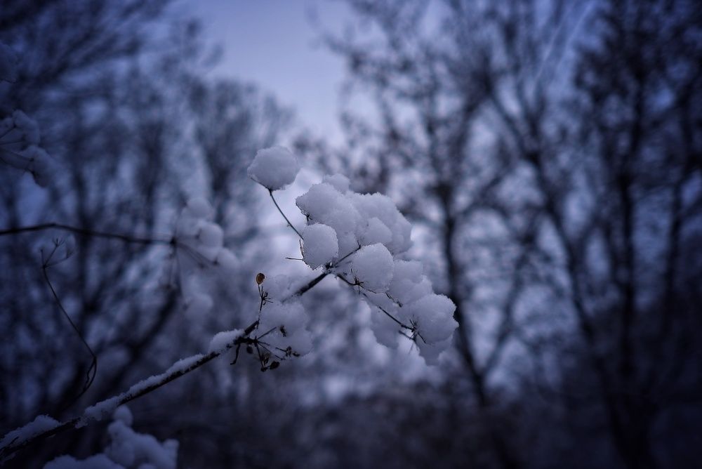 Photo #5760182