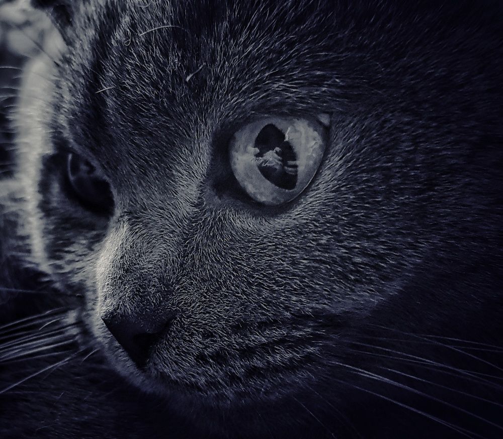 Photograph by Вероника Моторина