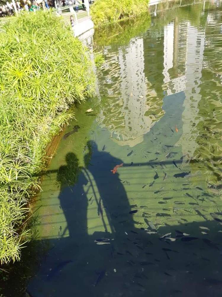 Фотография автора Ирина Авраменко