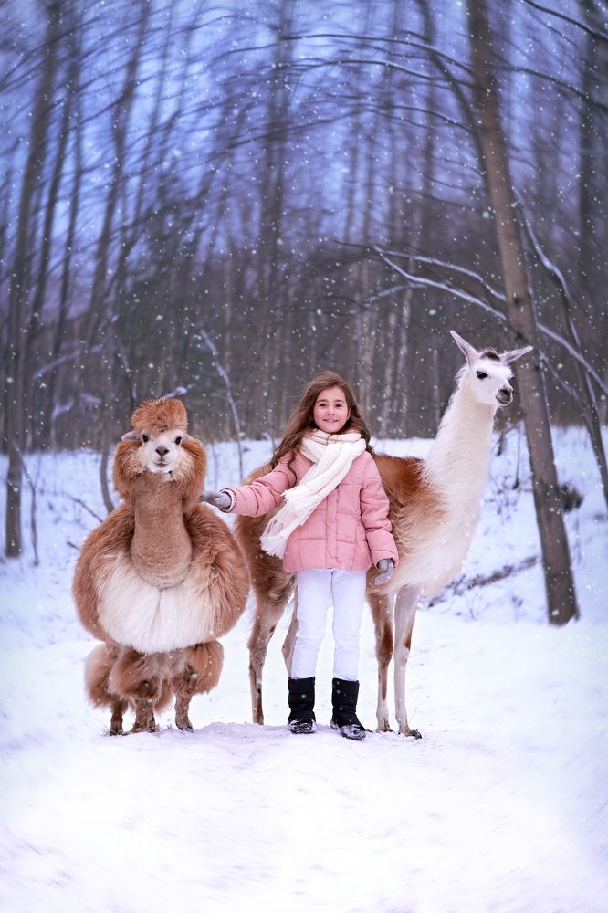 Фотография автора Ольга Гусева
