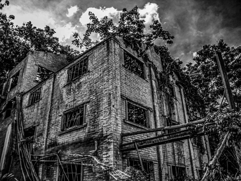 Photograph by Ernesto Arturovich Pérez Mesa