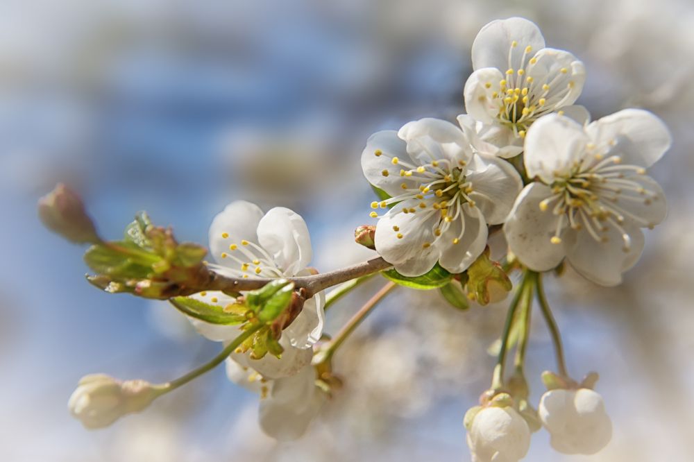 Фотография автора Юлия Кранина