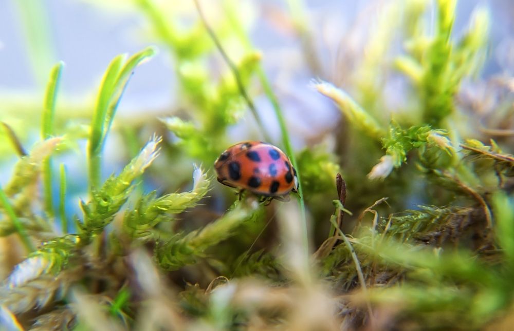 Фотография автора Юлия Кранина