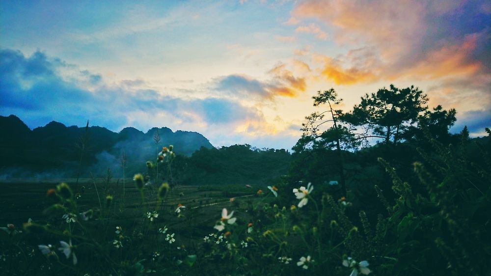 Photo #5760335