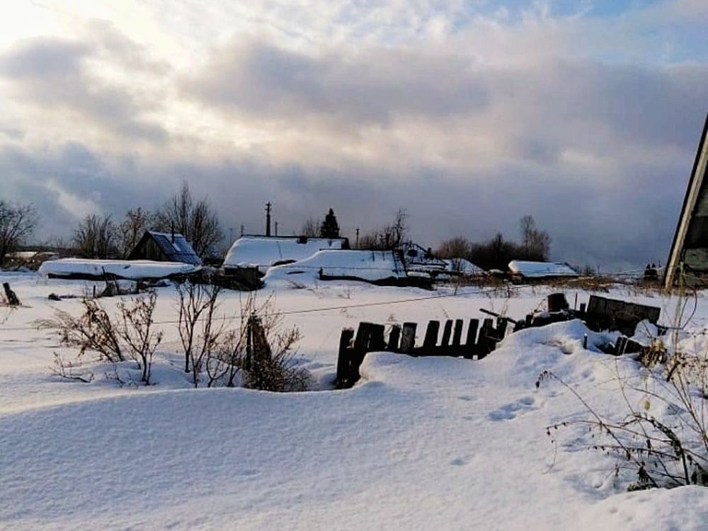 Photograph by Жанна Усатова