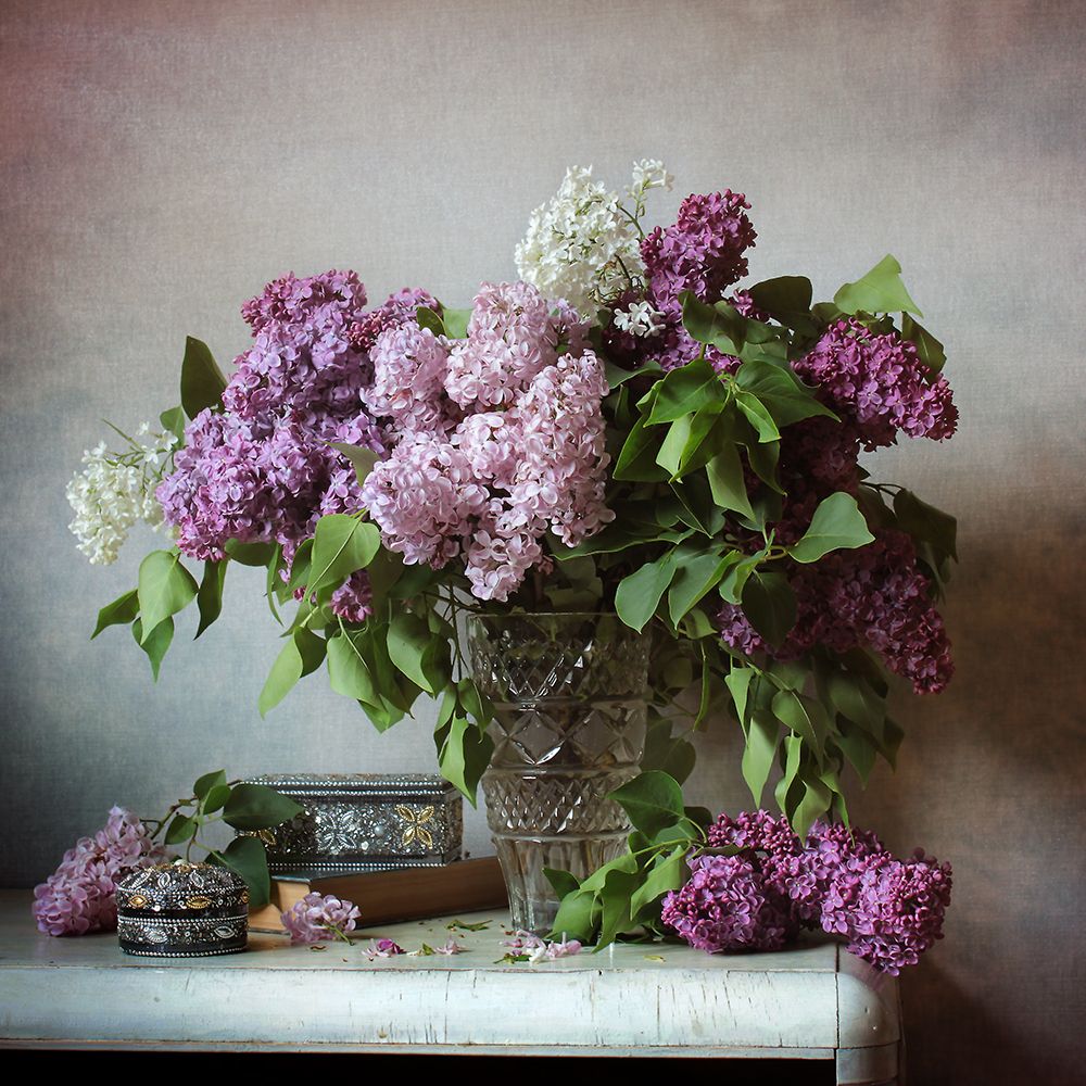 Фотография автора Ганина Галина