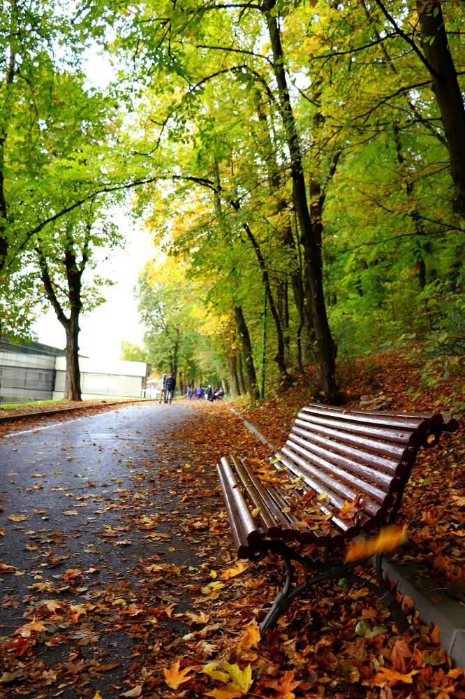 Photograph by Andreea Oancă