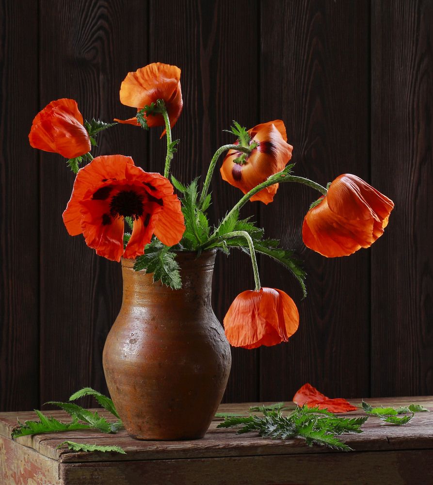 Люблю маки!