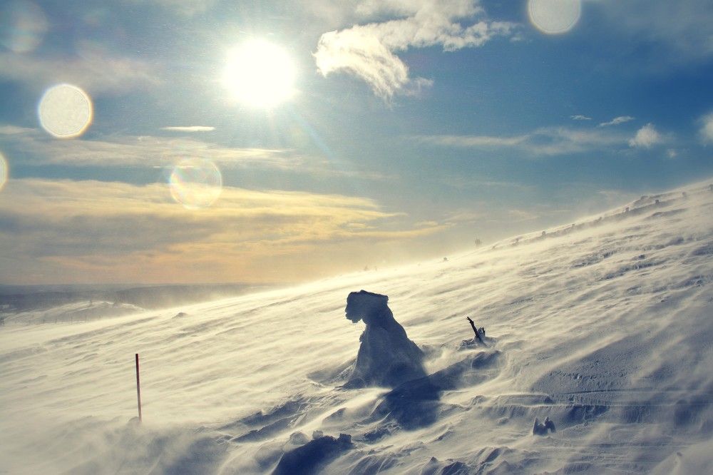 Photograph by Светлана Ткаченко