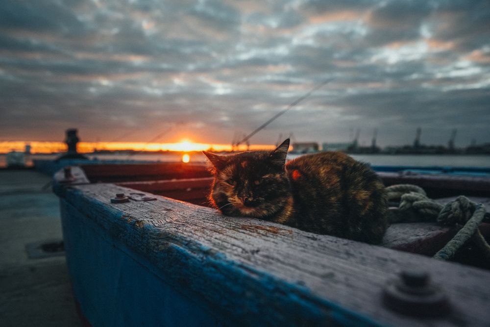 Photograph by Анатолий Деникин