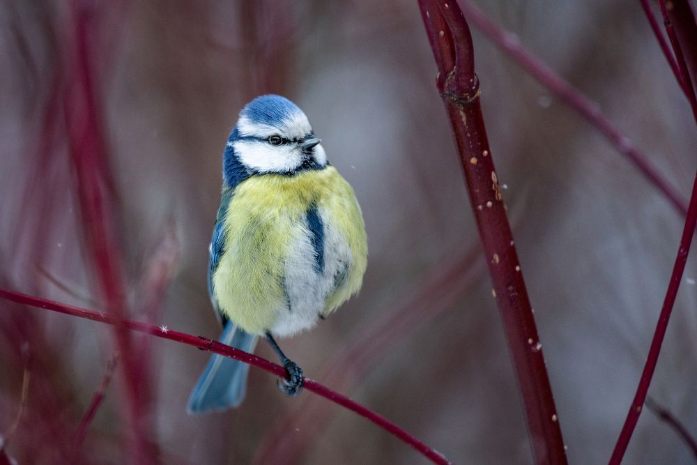Photograph by Виктор Плахотин