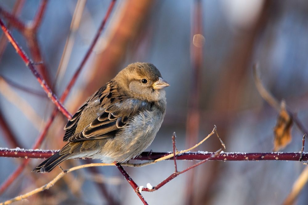 Photograph by Виктор Плахотин