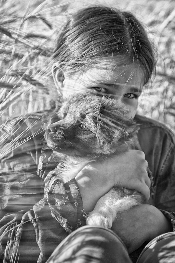 Сердечная дружба