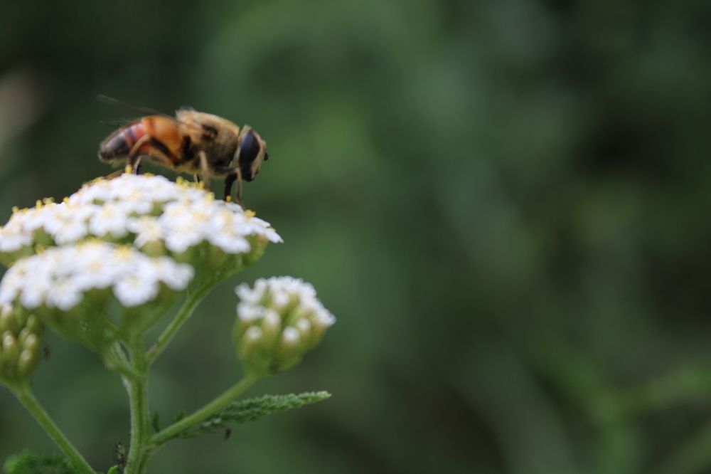 Фотография автора Никита Гутор