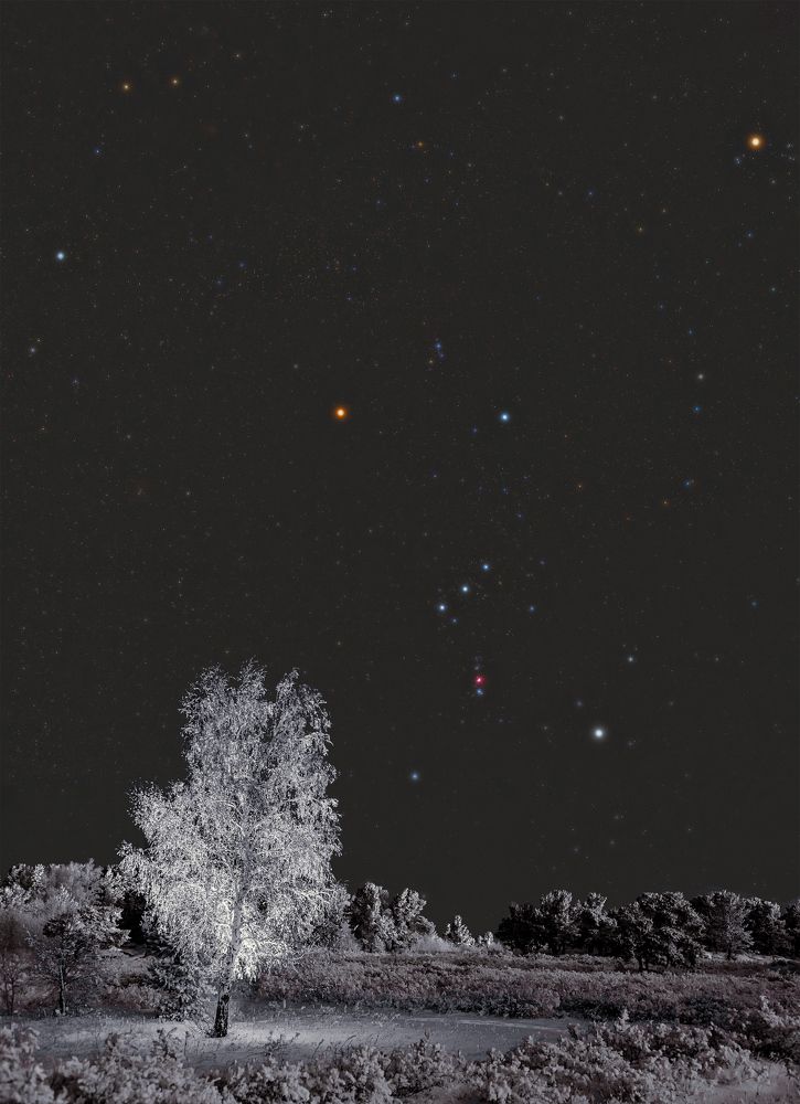 Созвездие Ориона