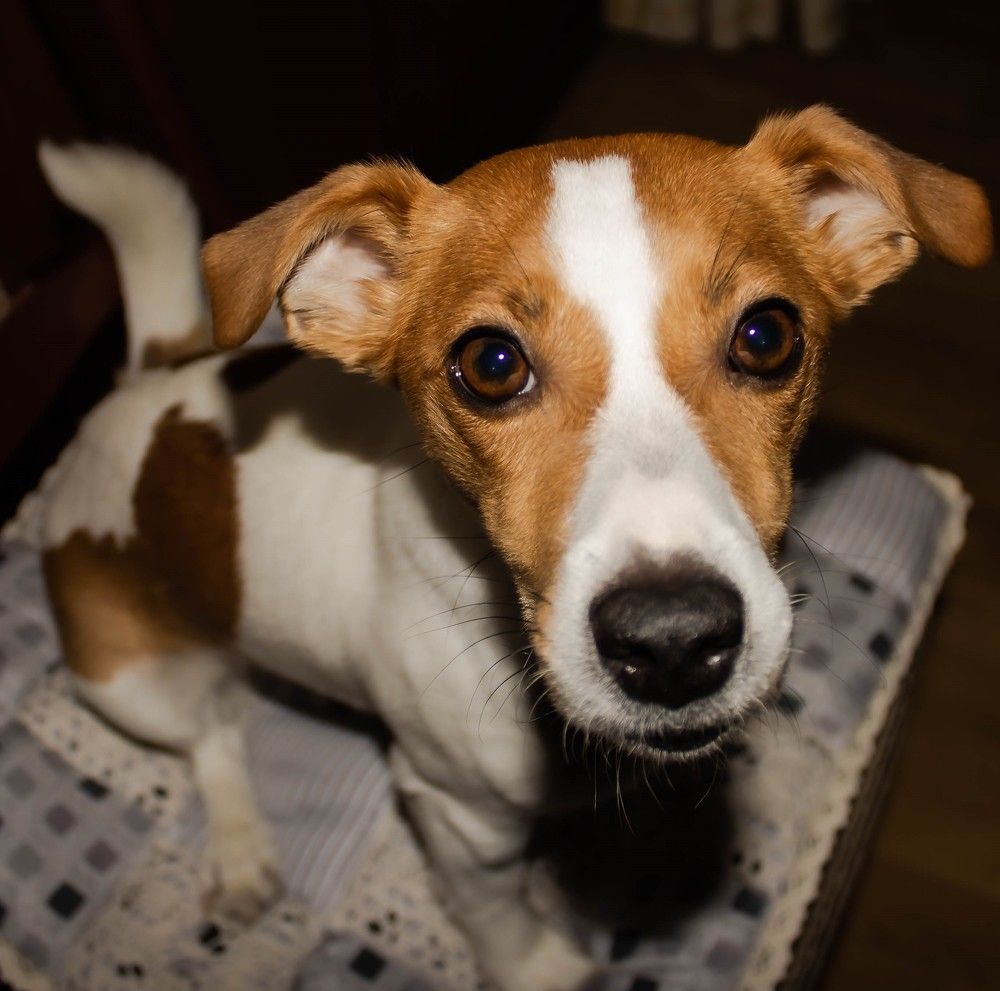 Эти глаза напротив