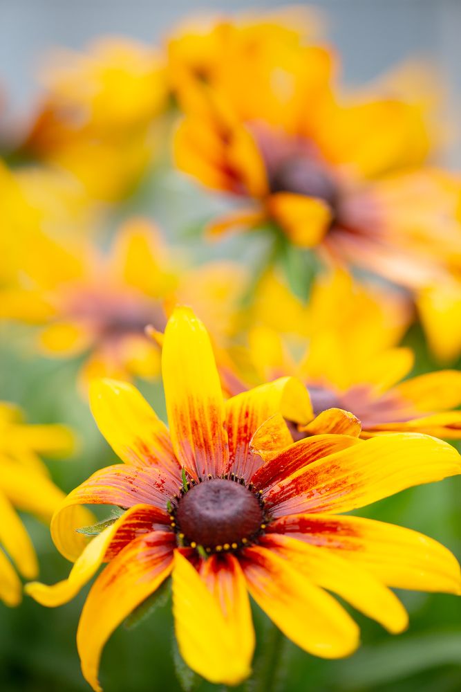 Фотография автора Виталий