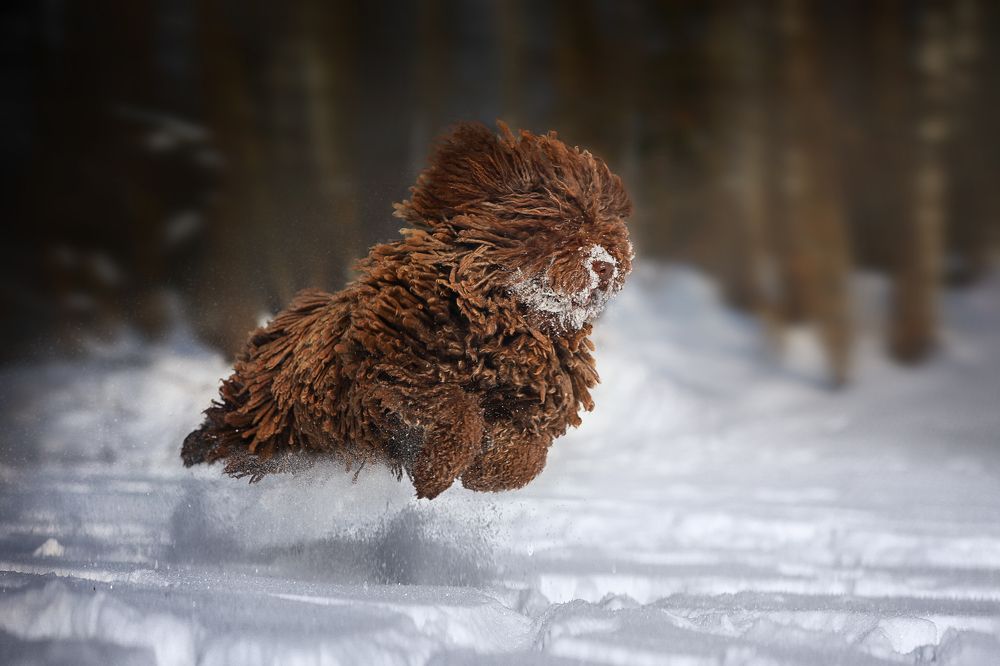 Photograph by Наталия Поникарова