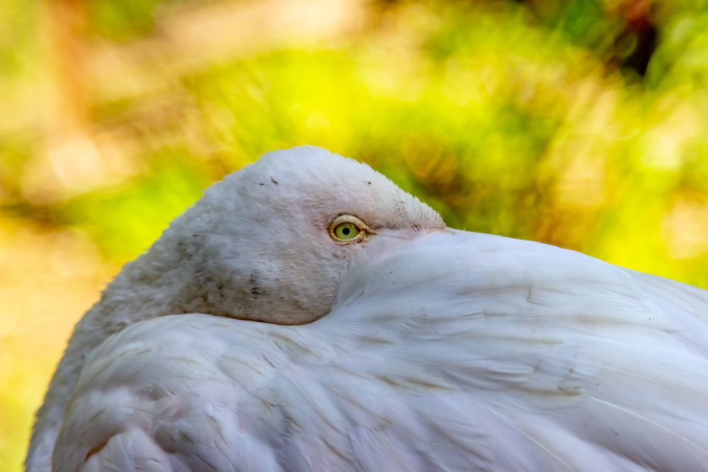 Photograph by Екатерина Бочарова