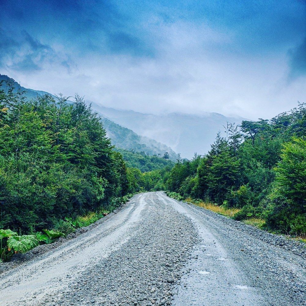 Photograph by Ariel Kergall