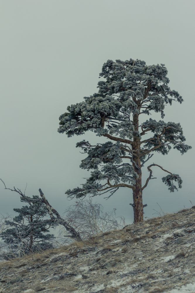 Photograph by Артем Карлов