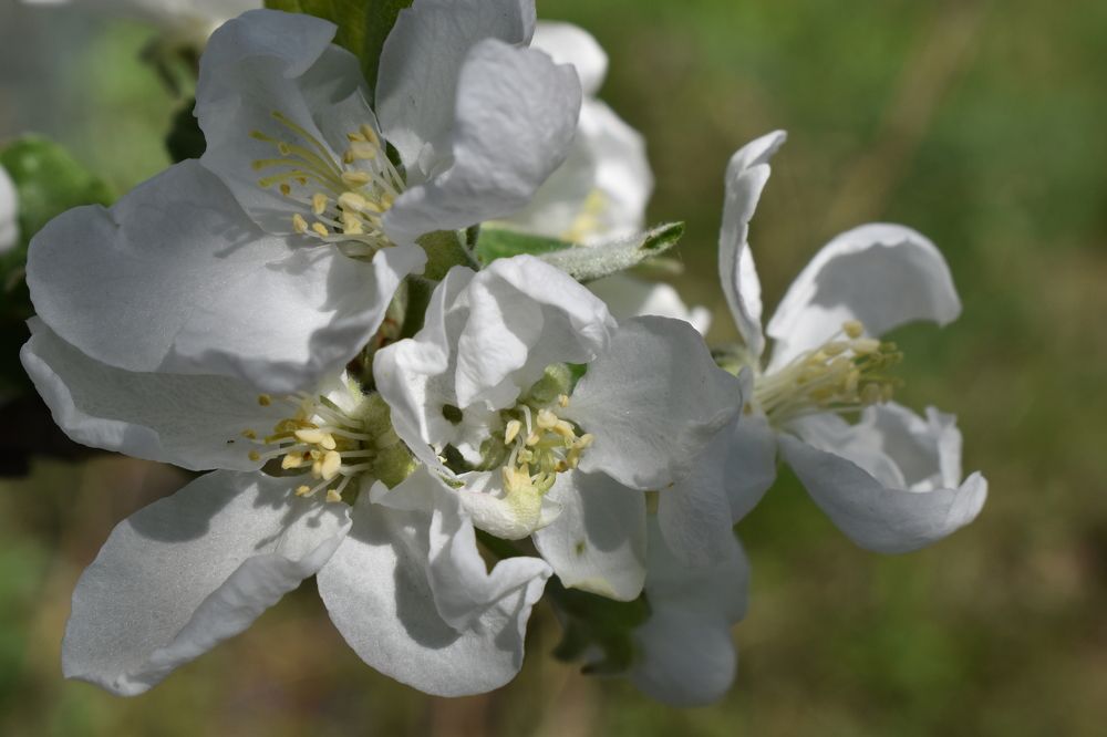 Photograph by Сергей Головин