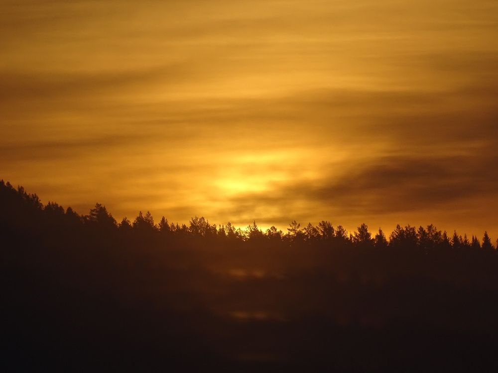 Photograph by Николай Худяков