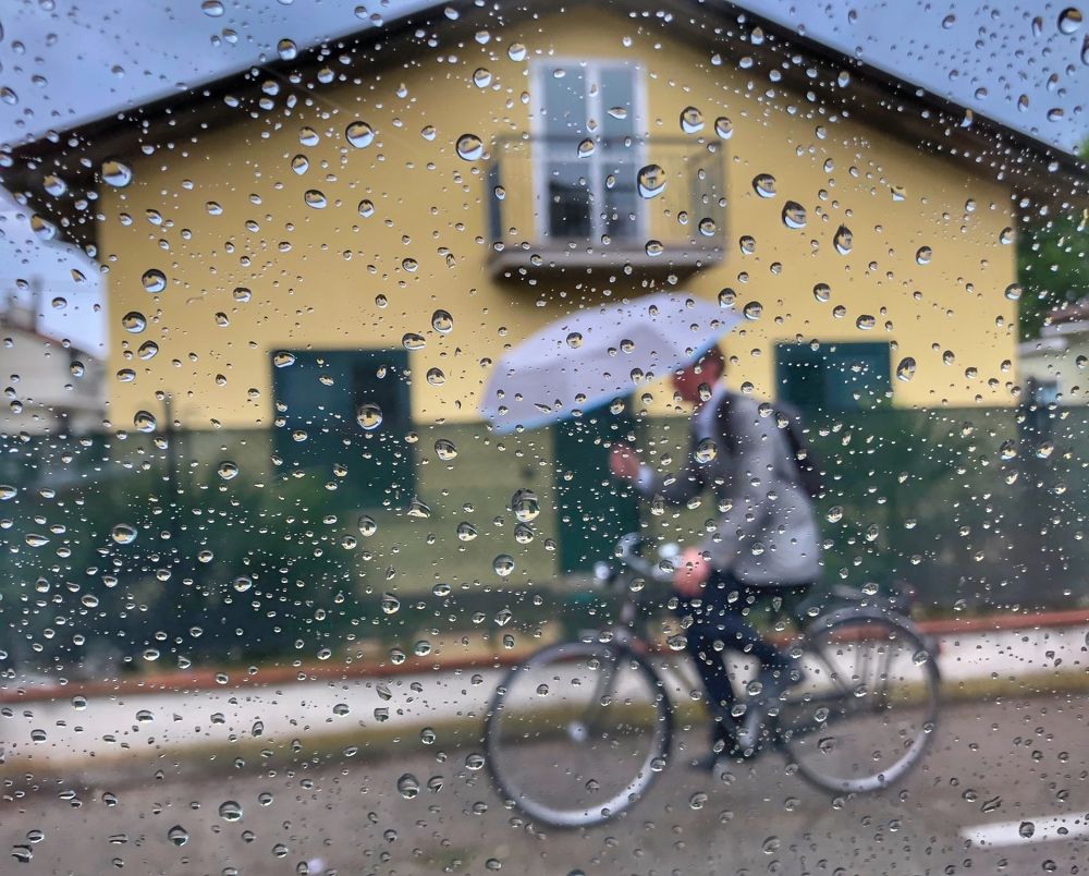 Photograph by Александр Шандов