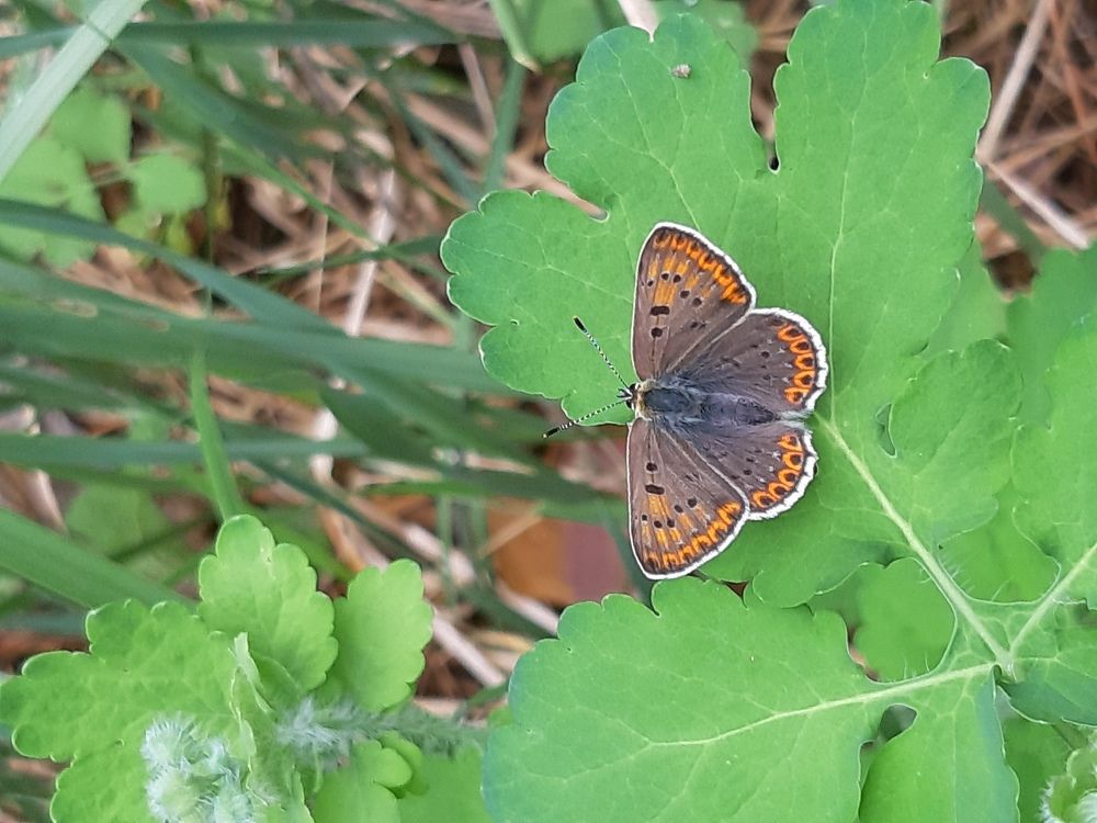 Photograph by Виктория Стецко