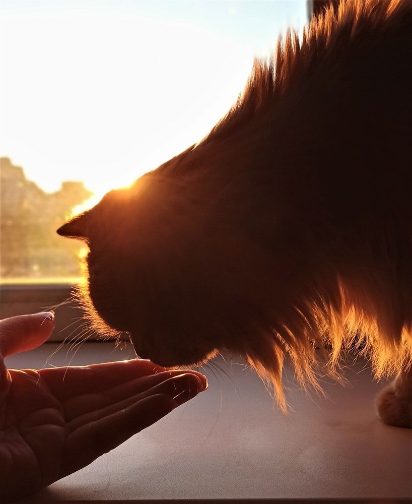 Photograph by Людмила Протасова