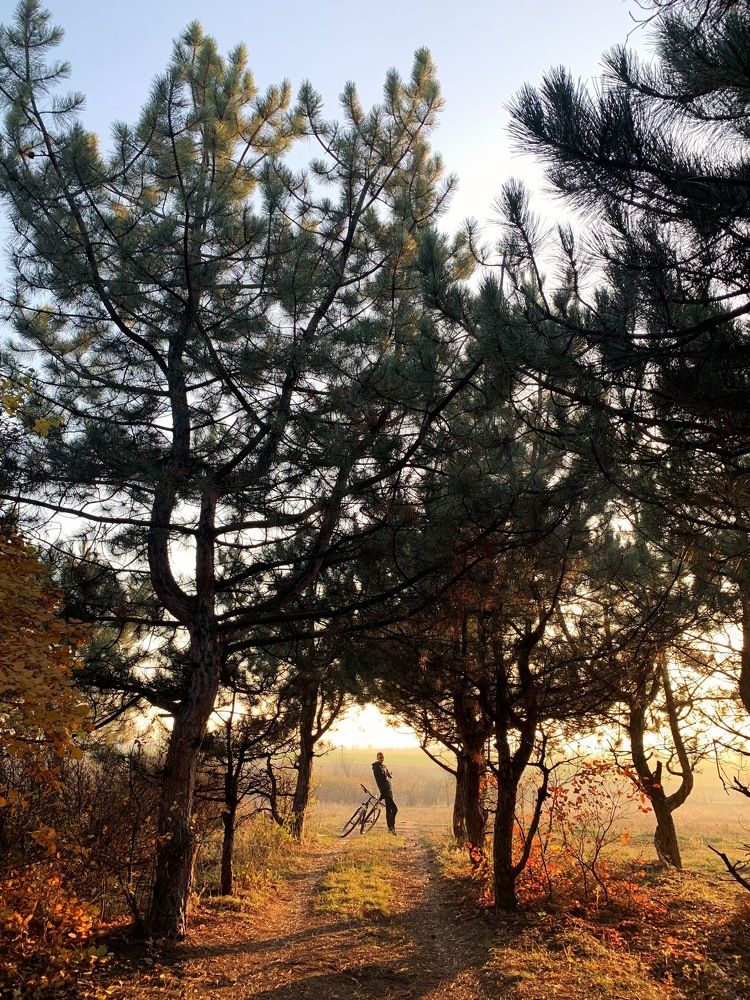 Photograph by Павел Тищенко