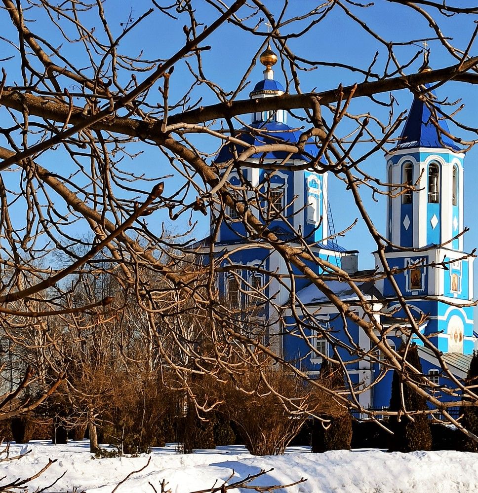 Photograph by Людмила Протасова