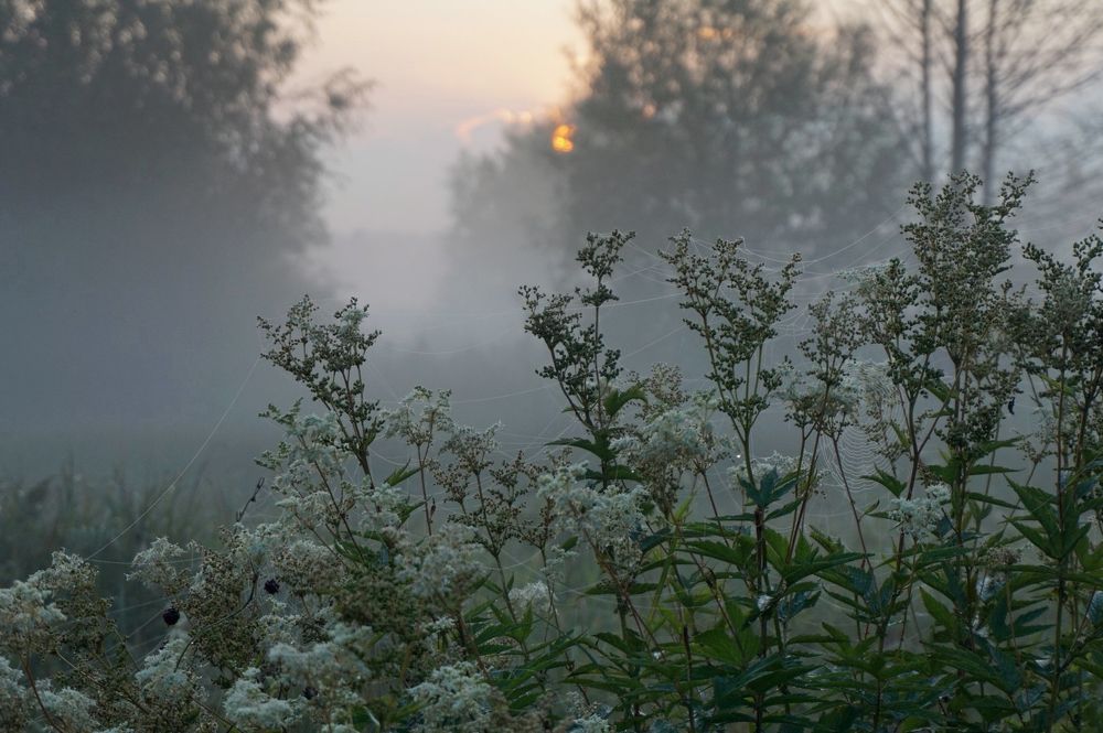 Photograph by Измаил Ефимов