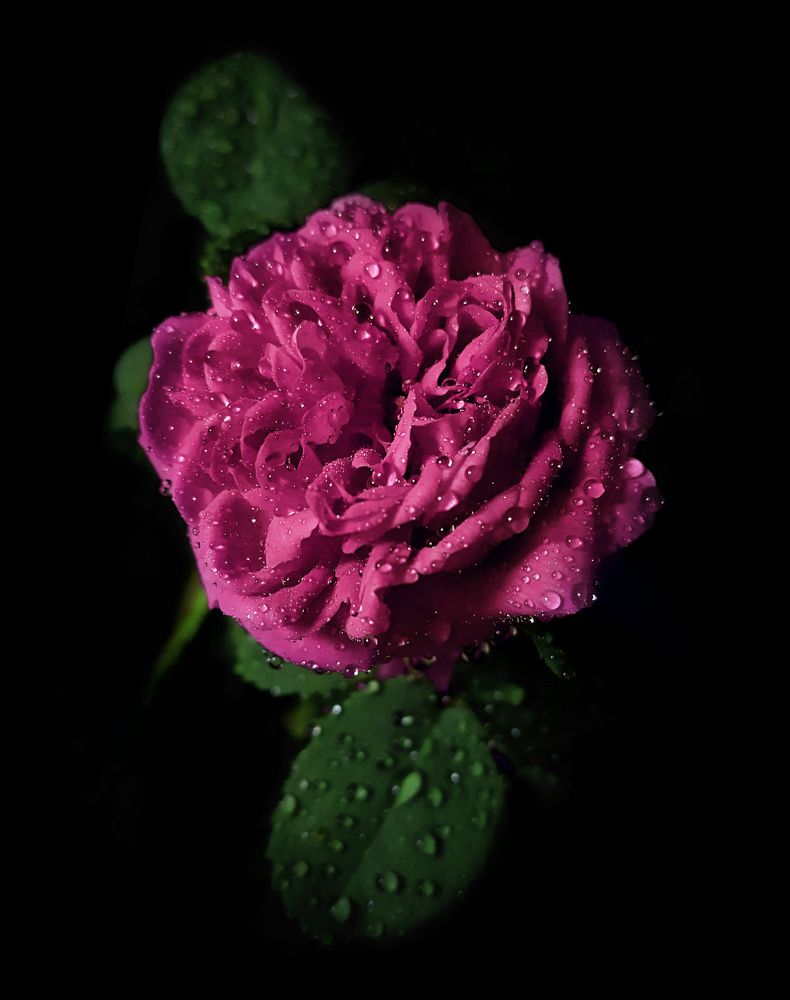 Photograph by Mohammad Dadsetan